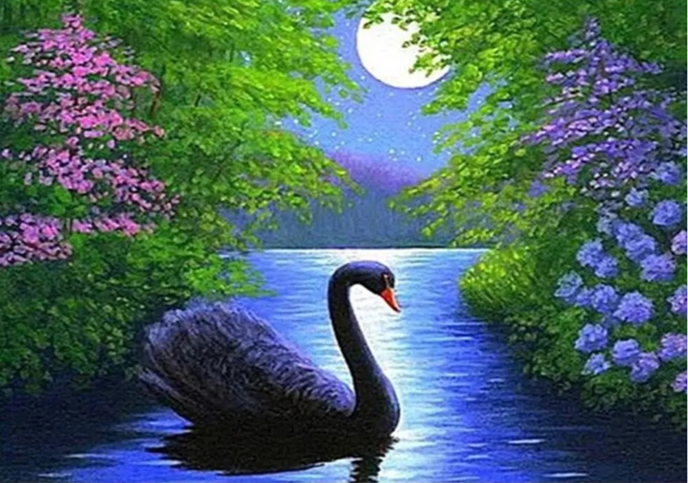 1000/500 PCS Jigsaw Black Swan - Home Decor Under 1000 recension och pris
