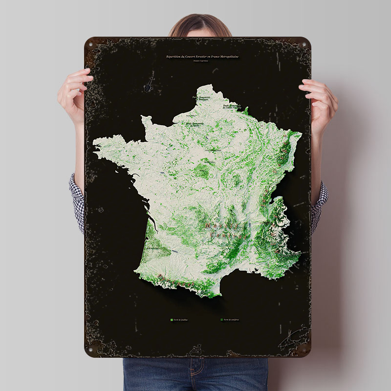 Massifs Forestiers Fran??ais P - Home Decor Ai Free recension och pris