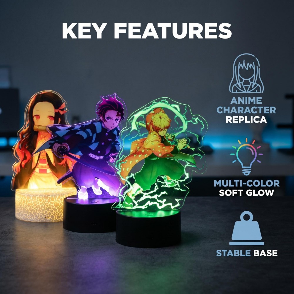 Anime Figure Tanjiro Merch 3D  - Home Decor Online recension och pris